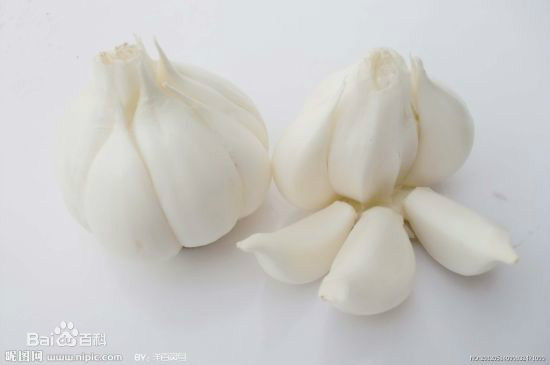 Cangshan Garlic