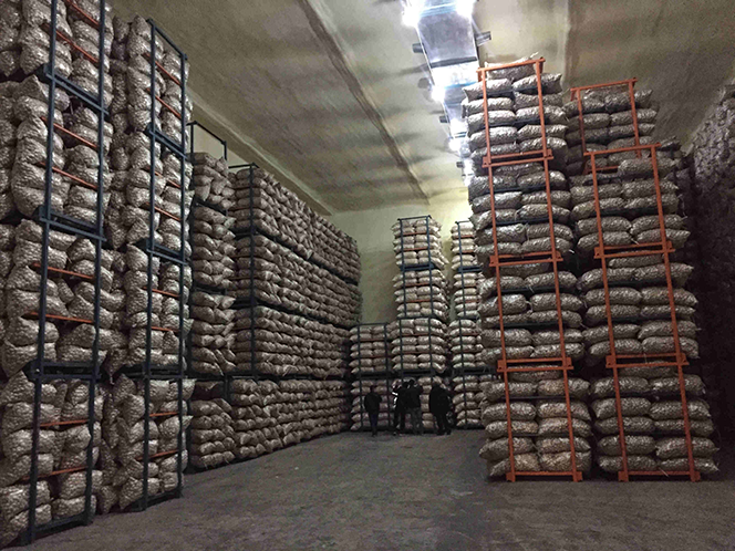 Freshness storehouse of Pioneer Garlic Group