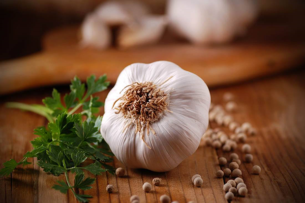 Jinxiang garlic