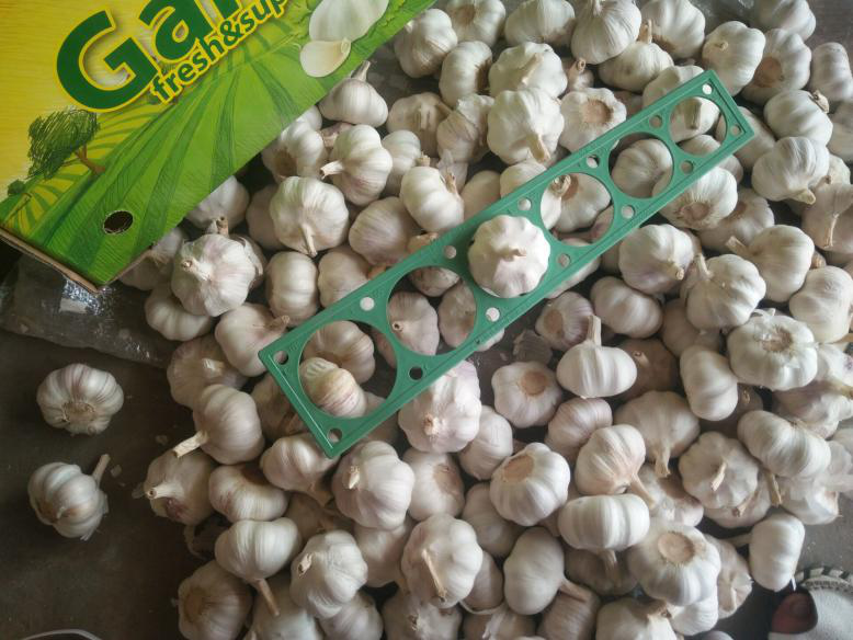 Top quality products to market by Pioneer Garlic Group.